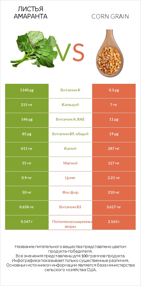 Листья амаранта vs Corn grain infographic