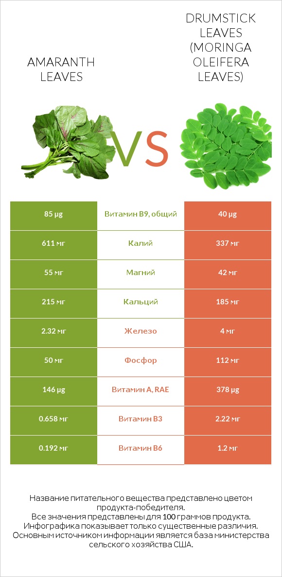 Amaranth leaves vs Drumstick leaves infographic