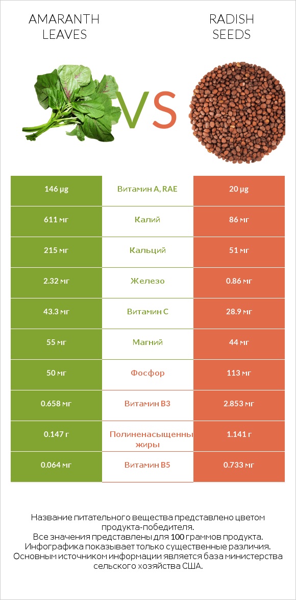 Amaranth leaves vs Radish seeds infographic