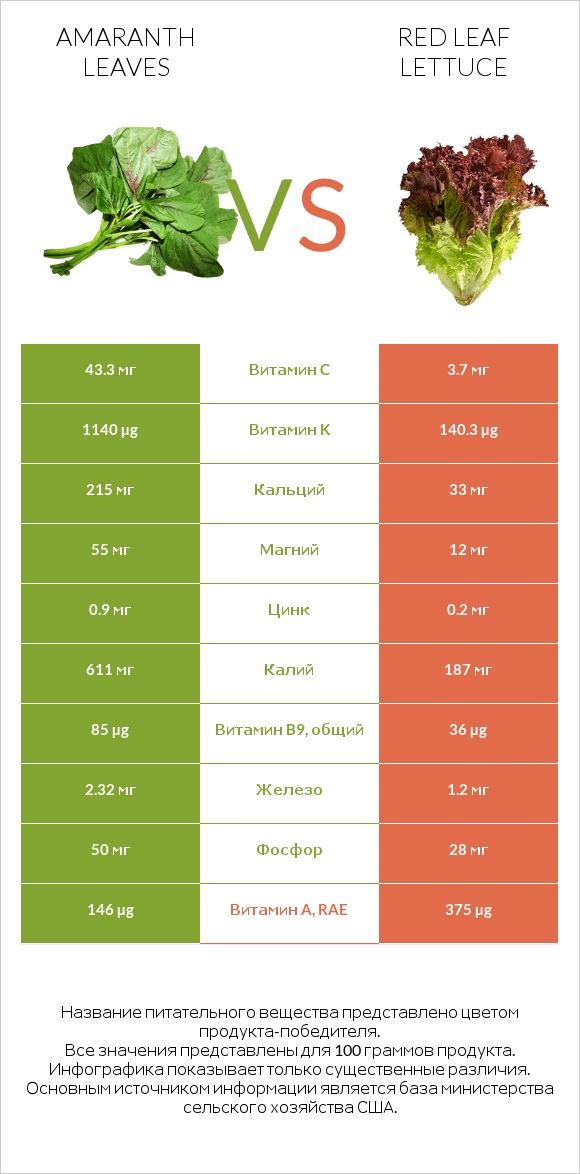 Amaranth leaves vs Red leaf lettuce infographic