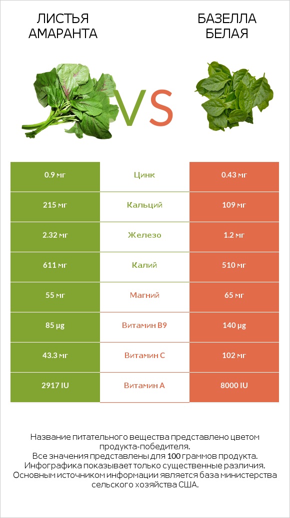 Amaranth leaves vs Vine spinach (basella) infographic