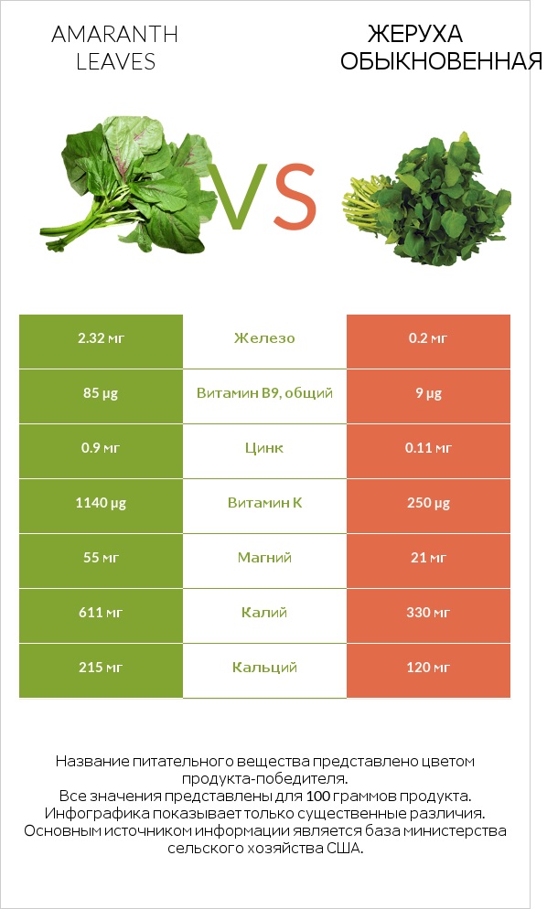 Листья амаранта vs Жеруха обыкновенная infographic