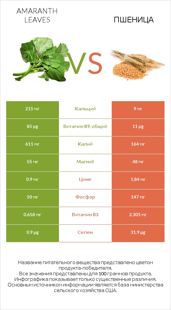 Листья амаранта vs Пшеница infographic