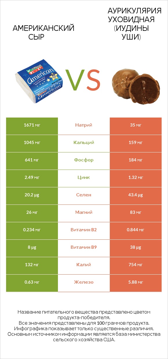 Американский сыр vs Аурикулярия уховидная (Иудины уши) infographic