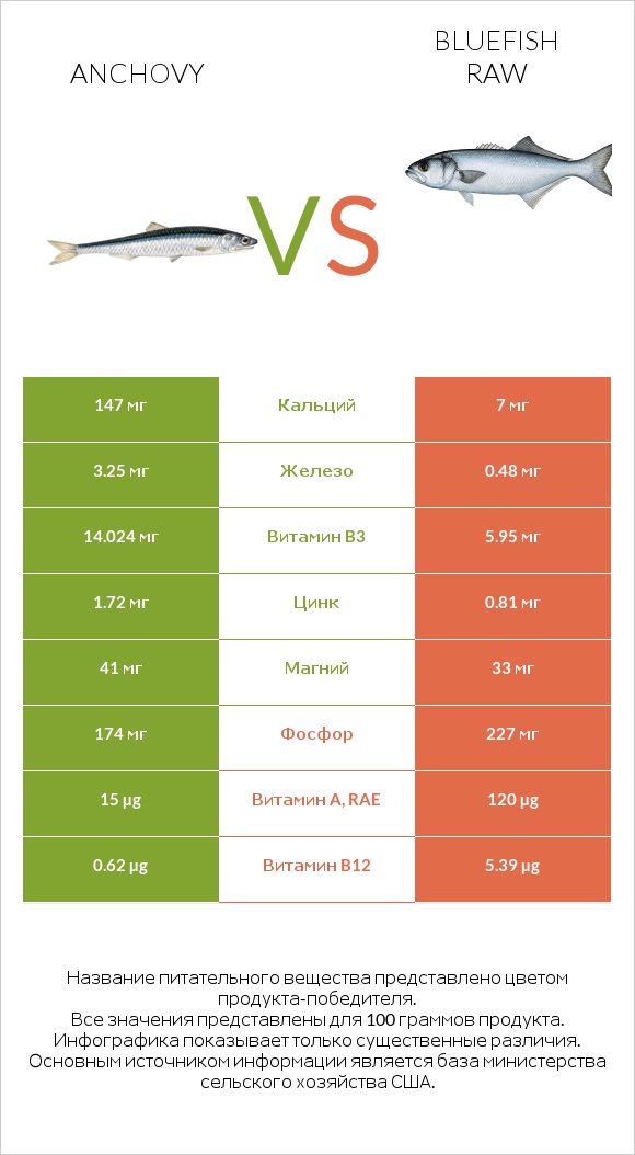 Anchovy vs Bluefish raw infographic