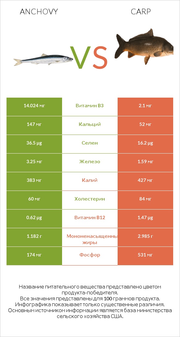 Anchovy vs Carp infographic