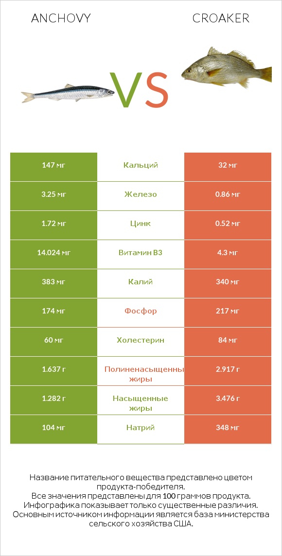 Anchovy vs Croaker infographic