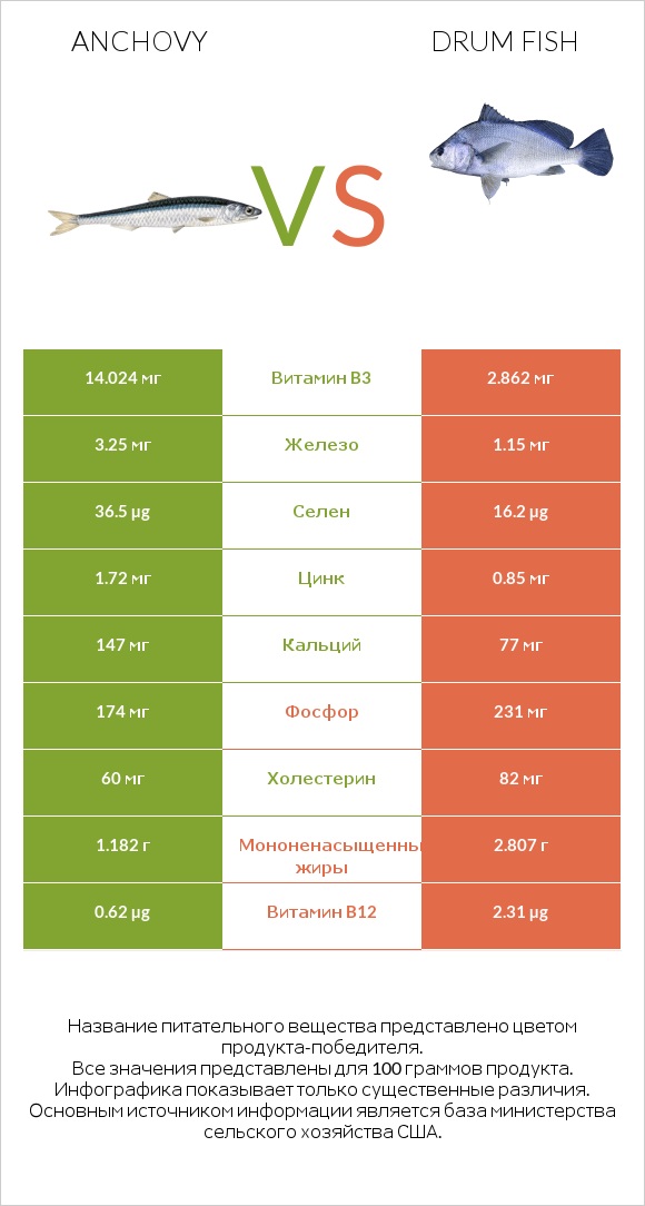 Anchovy vs Drum fish infographic