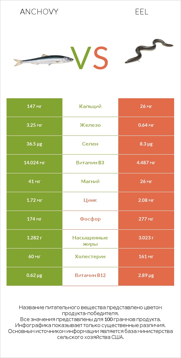 Anchovy vs Eel infographic