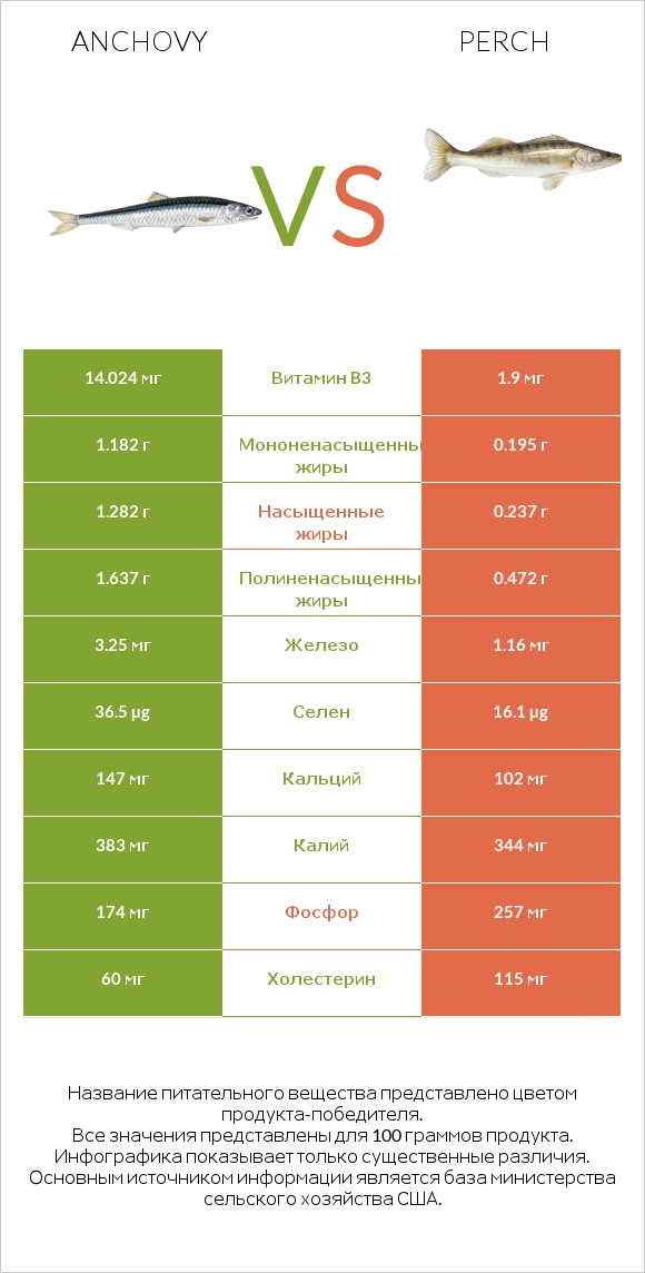 Anchovy vs Perch infographic