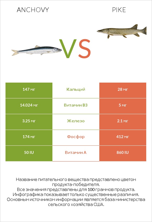 Anchovy vs Pike infographic