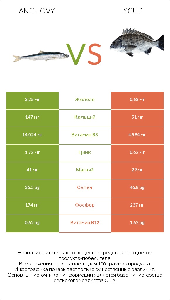 Anchovy vs Scup infographic