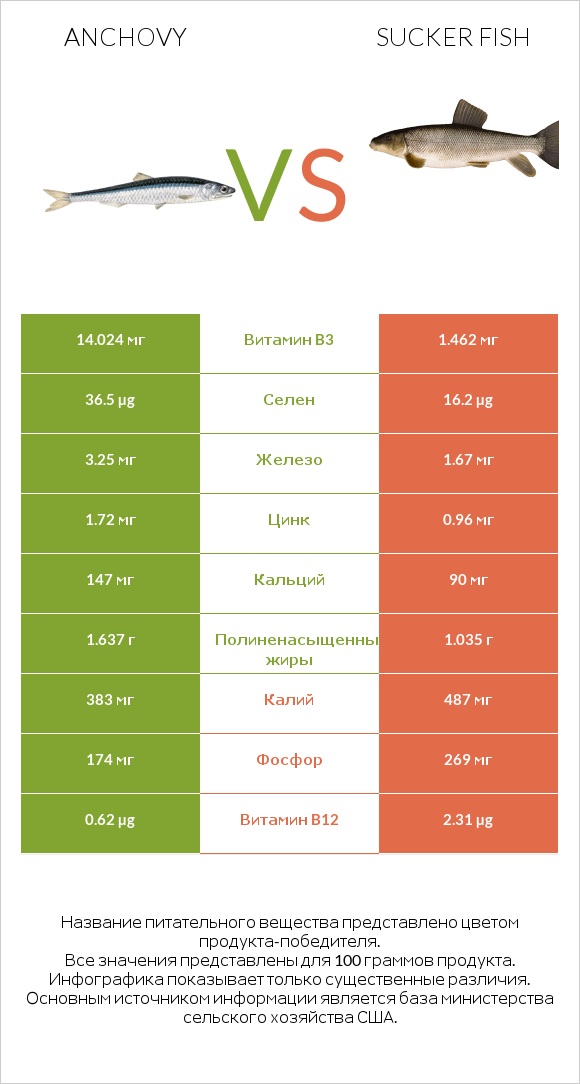 Anchovy vs Sucker fish infographic