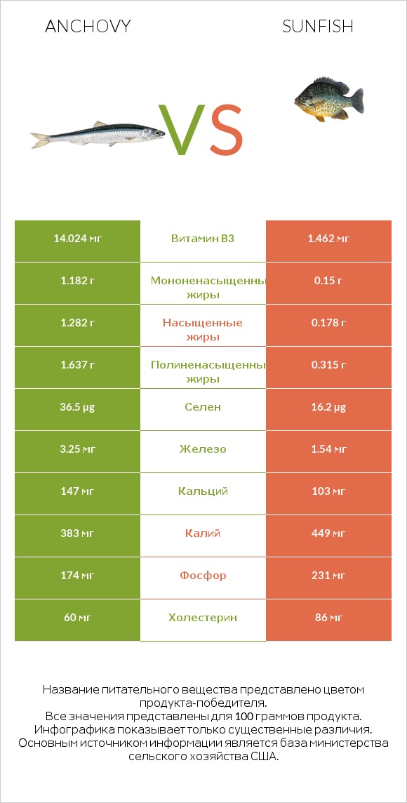 Anchovy vs Sunfish infographic