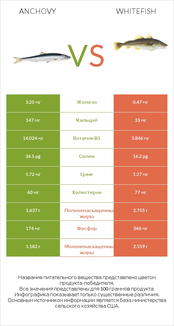 Anchovy vs Whitefish infographic