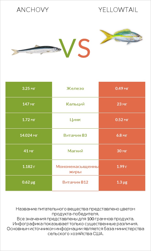 Anchovy vs Yellowtail infographic