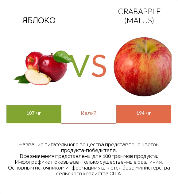 Яблоко vs Crabapple (Malus) infographic