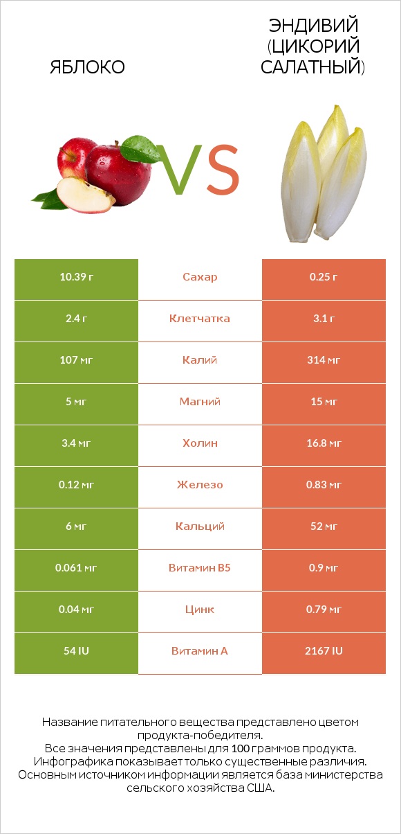 Яблоко vs Эндивий (Цикорий салатный)  infographic