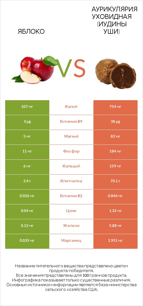 Яблоко vs Аурикулярия уховидная (Иудины уши) infographic