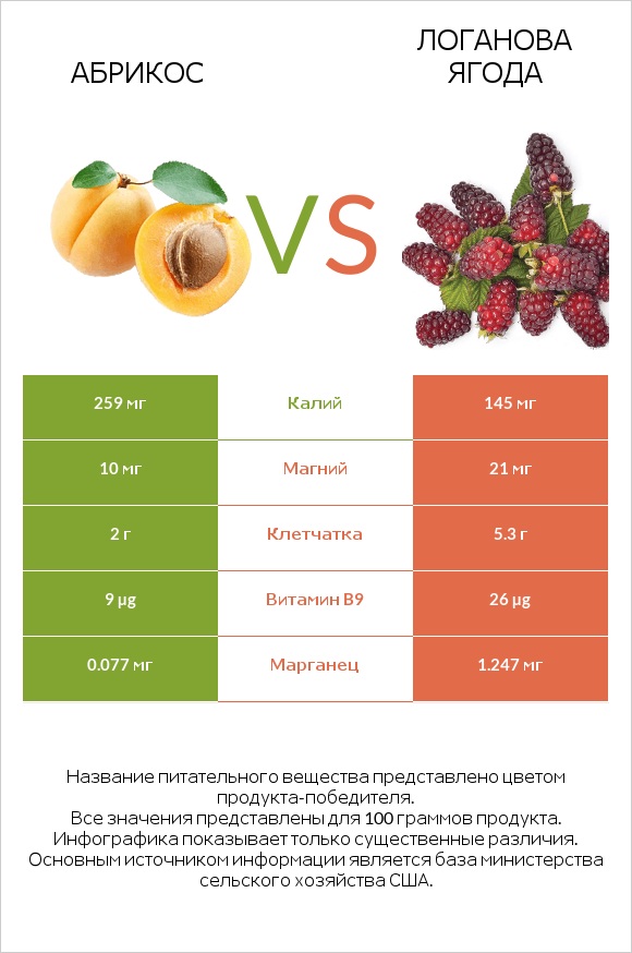 Абрикос vs Логанова ягода infographic