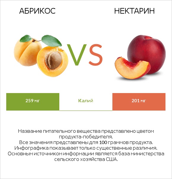 Абрикос vs Нектарин infographic