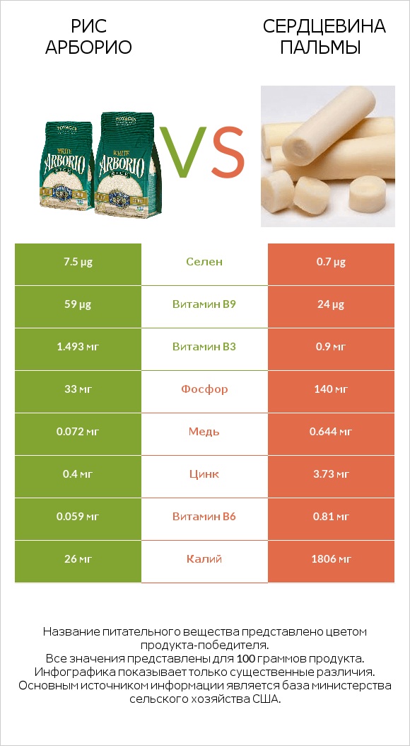 Рис арборио vs Сердцевина пальмы infographic