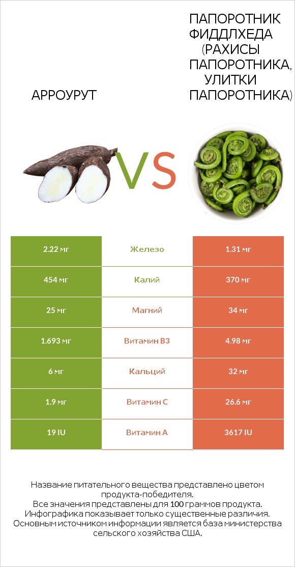 Арроурут vs Папоротник Фиддлхеда (Рахисы папоротника, улитки папоротника) infographic