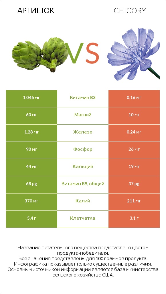 Артишок vs Chicory infographic