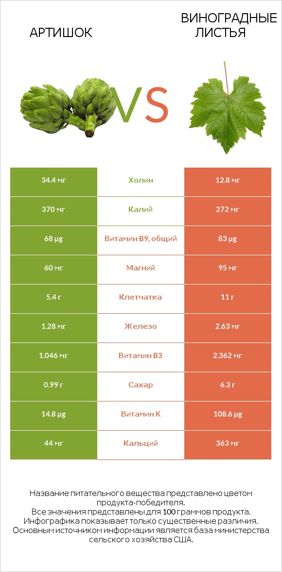 Артишок vs Виноградные листья infographic