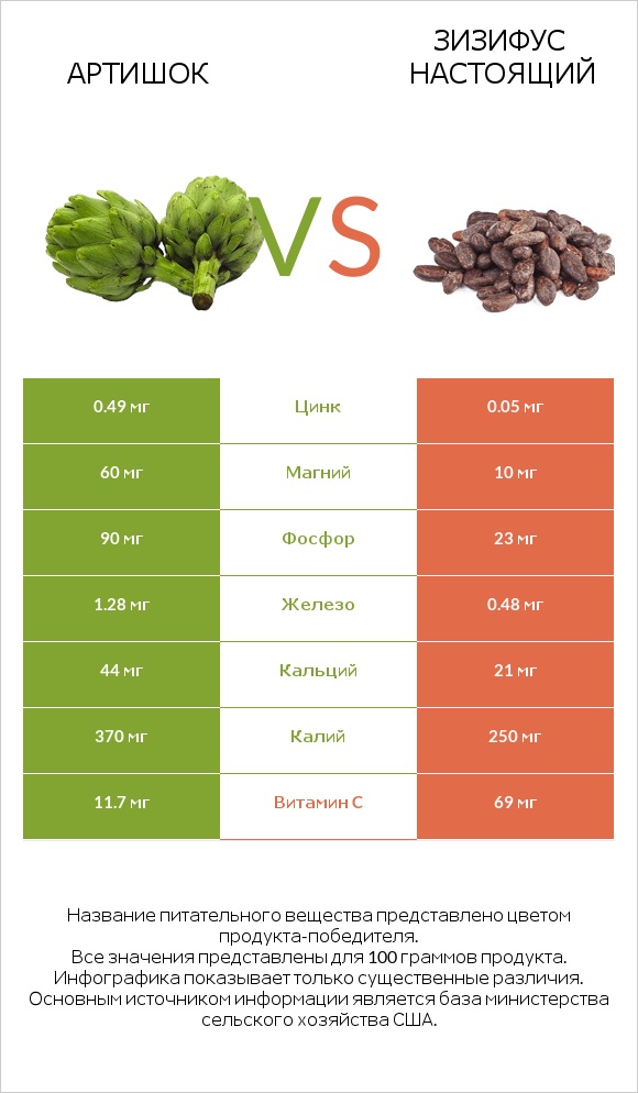Артишок vs Зизифус настоящий infographic