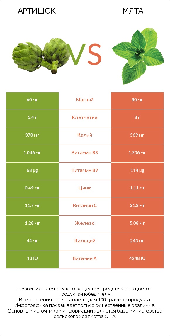 Артишок vs Мята infographic