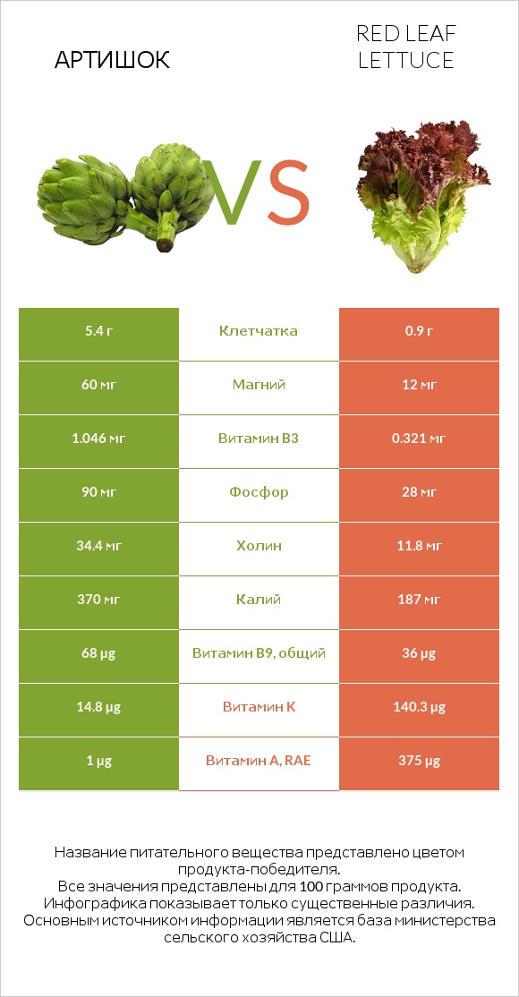 Артишок vs Red leaf lettuce infographic