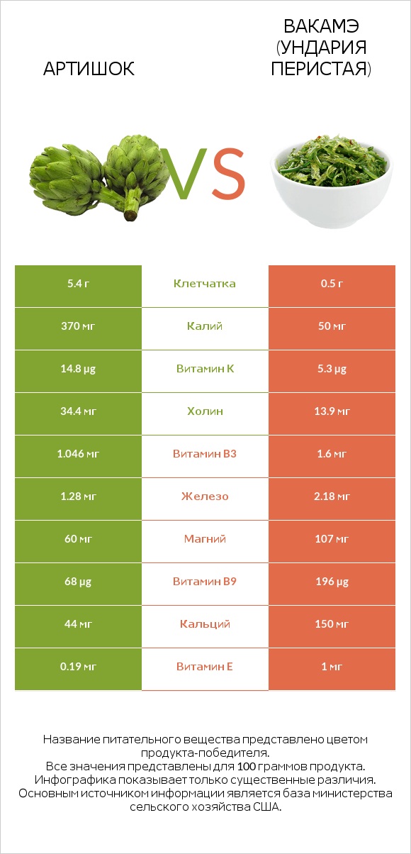 Артишок vs Ундария перистая infographic