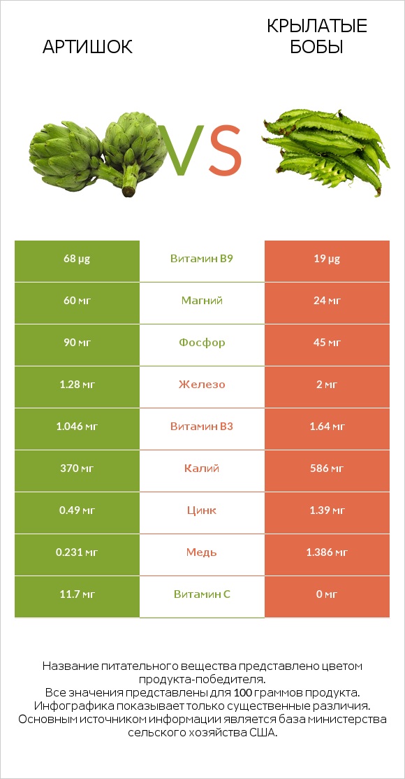 Артишок vs Крылатые бобы infographic