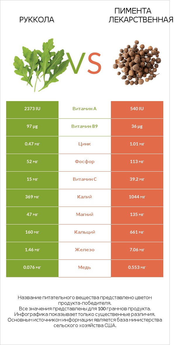 Руккола vs Пимента лекарственная infographic