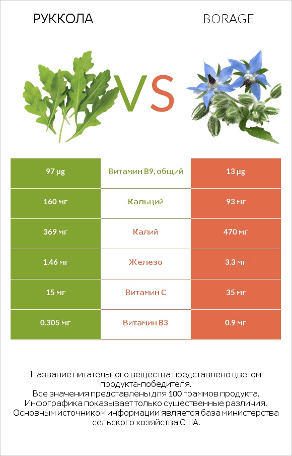 Руккола vs Бурачник лекарственный infographic