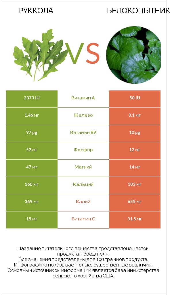 Руккола vs Белокопытник infographic