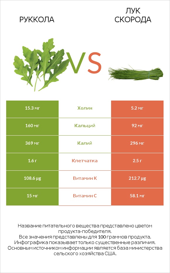 Руккола vs Лук скорода infographic