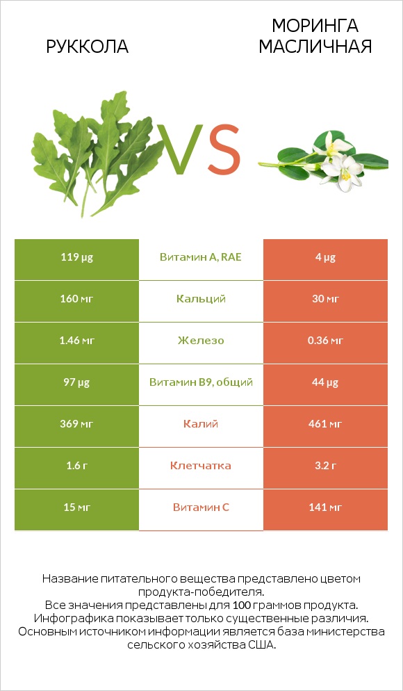 Руккола vs Моринга масличная infographic