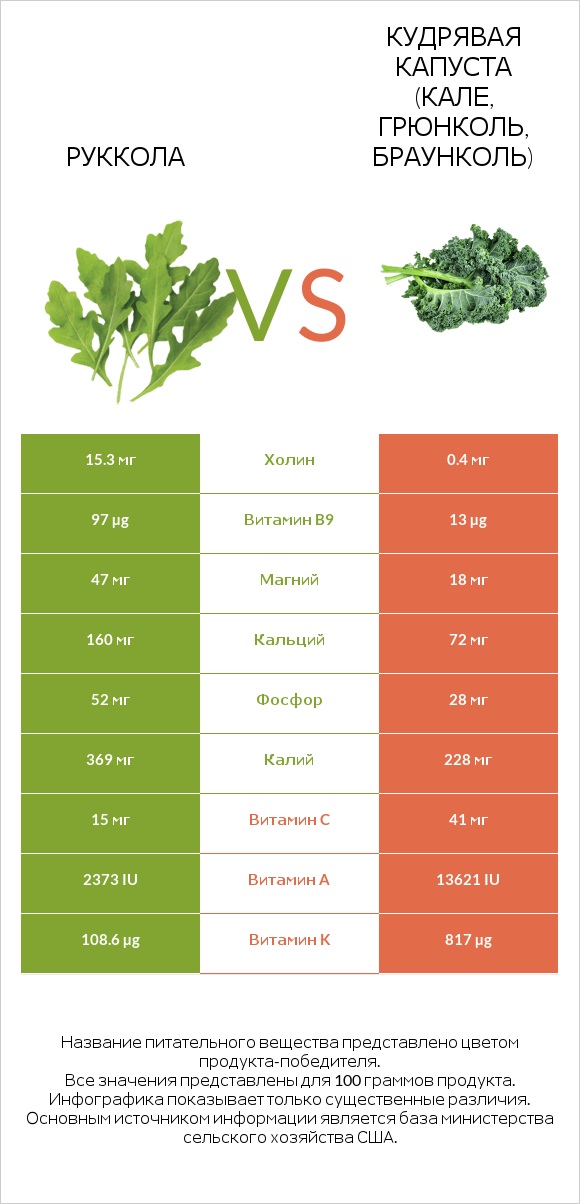 Руккола vs Кудрявая капуста (кале, грюнколь, браунколь) infographic