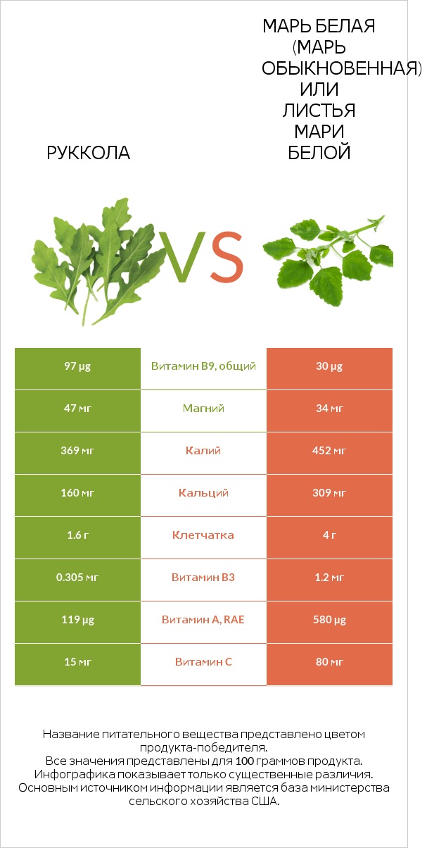 Руккола vs Марь белая (Марь обыкновенная) или Листья мари белой infographic