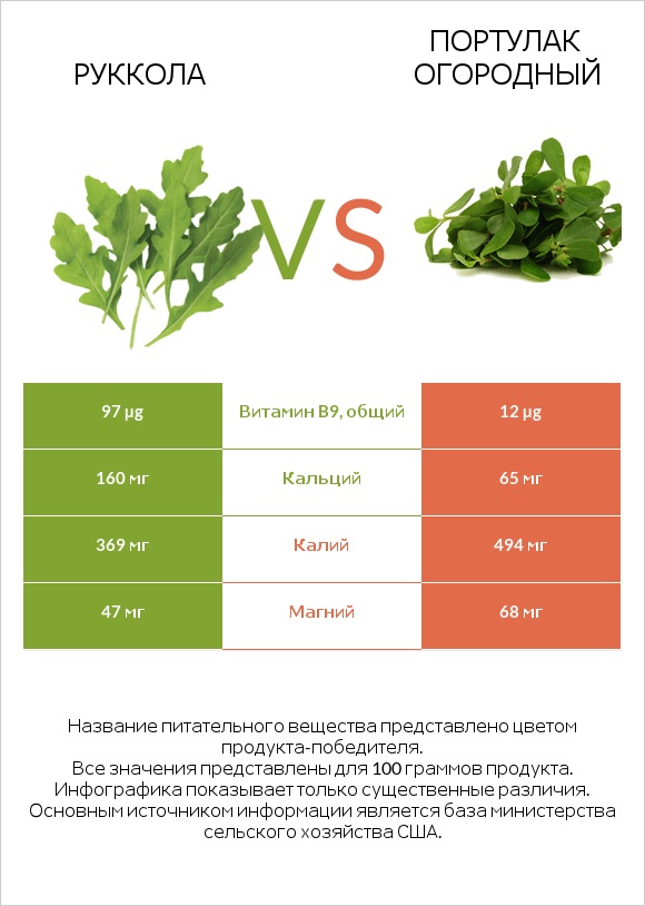 Руккола vs Портулак огородный infographic