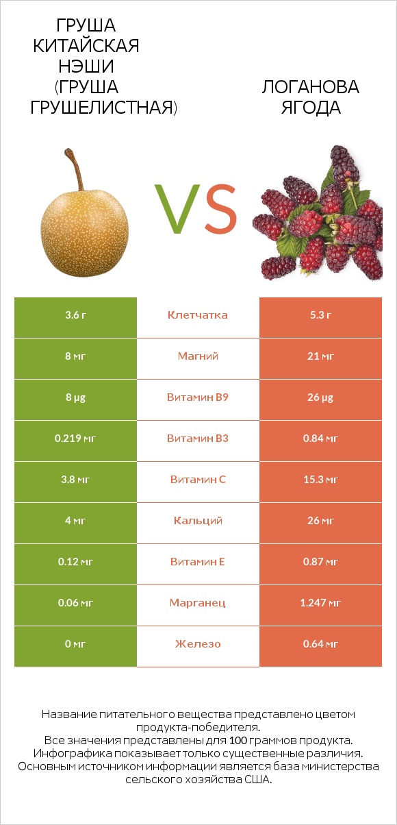 Груша китайская Нэши (груша Грушелистная) vs Логанова ягода infographic