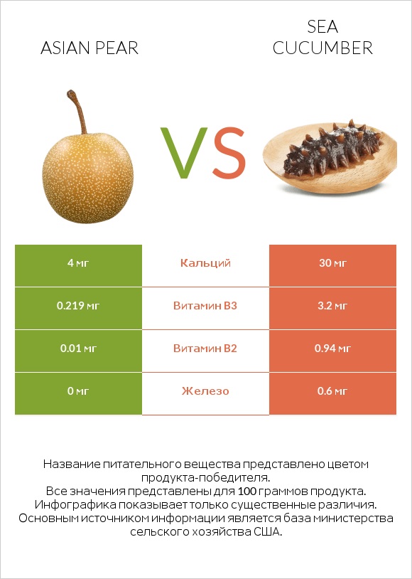 Asian pear vs Sea cucumber infographic
