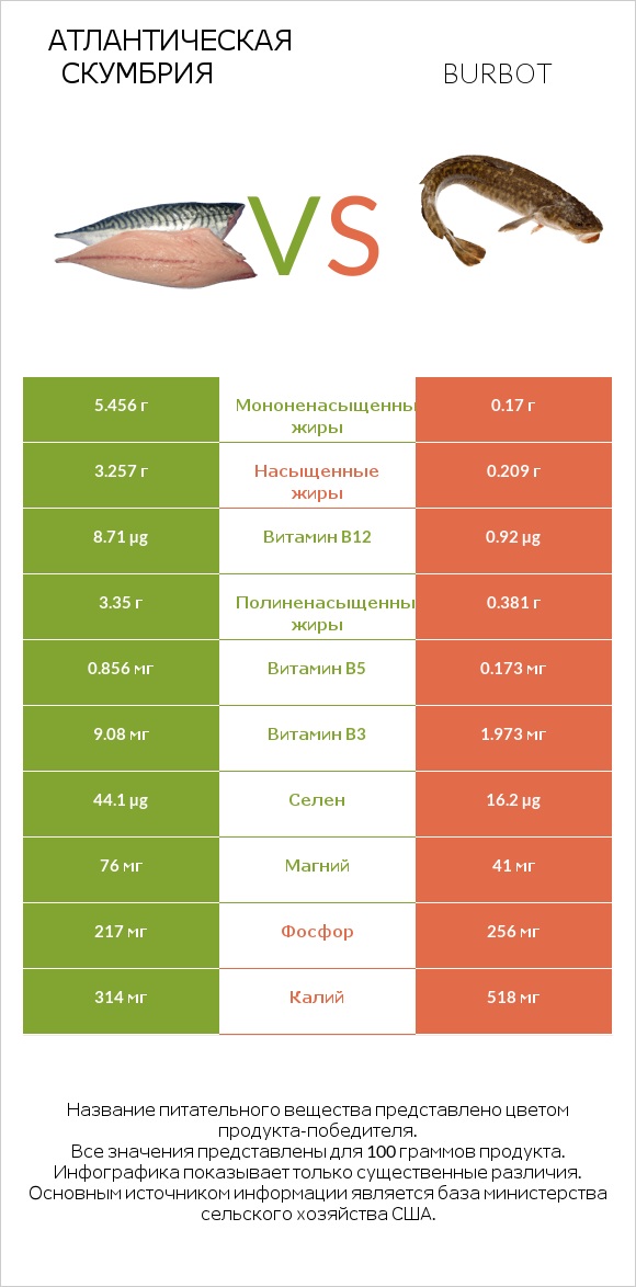 Атлантическая скумбрия vs Налим infographic