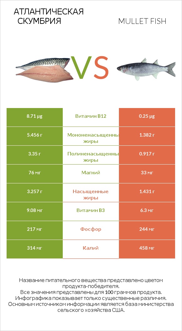 Атлантическая скумбрия vs Кефаль infographic