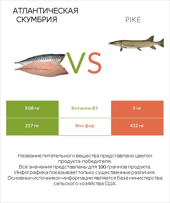 Атлантическая скумбрия vs Pike infographic