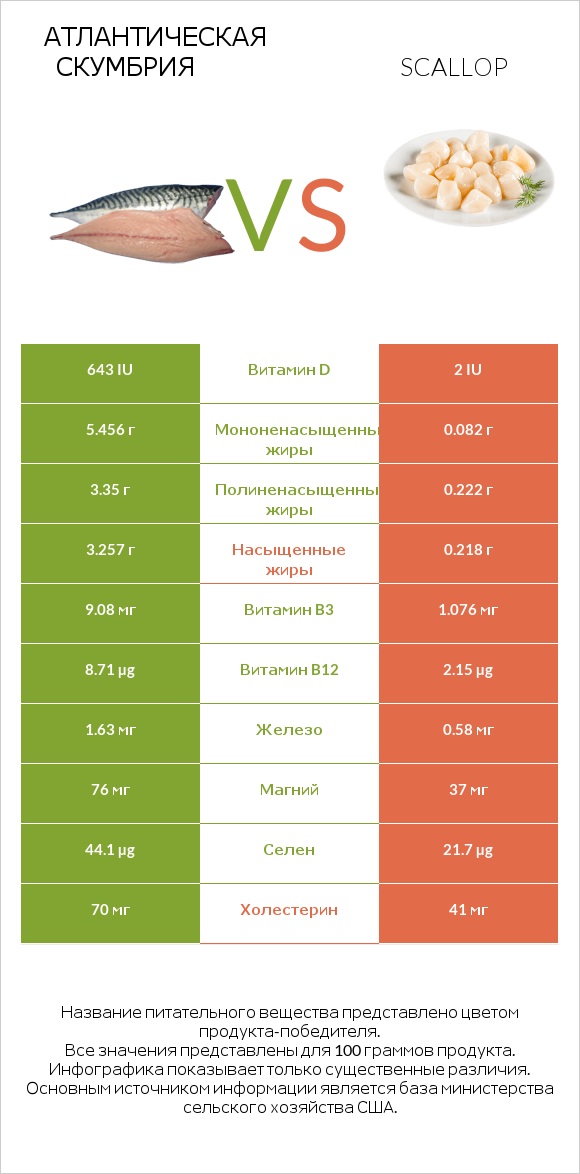 Атлантическая скумбрия vs Scallop infographic