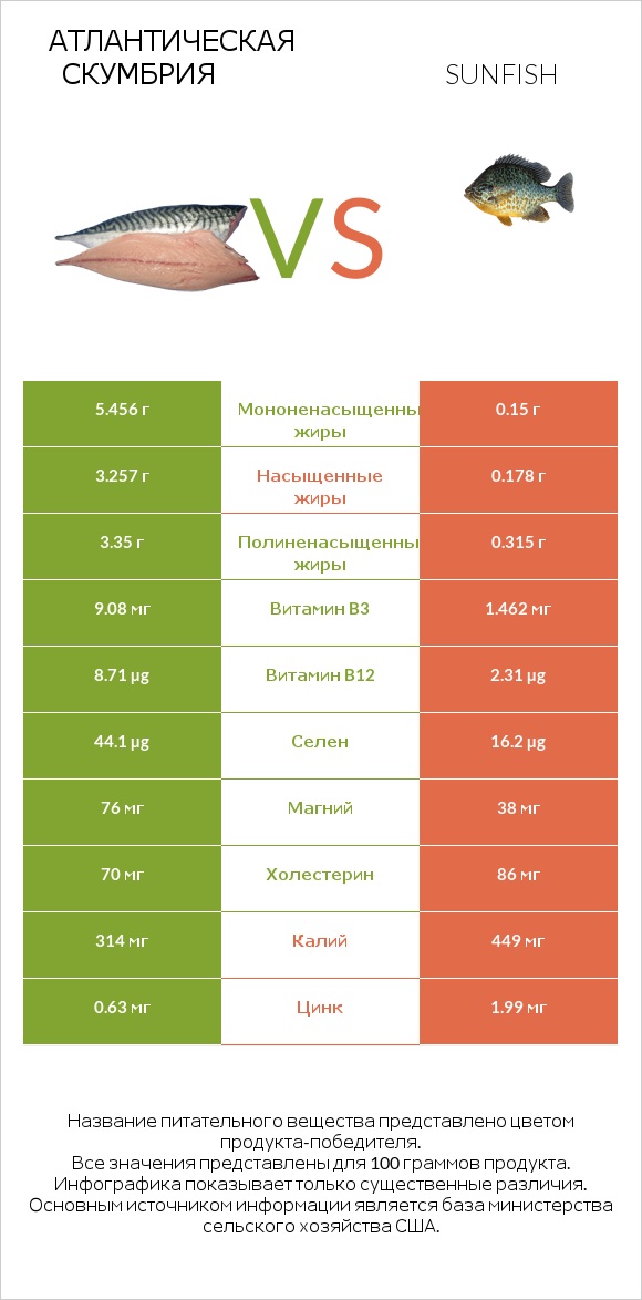 Атлантическая скумбрия vs Рыба-луна infographic