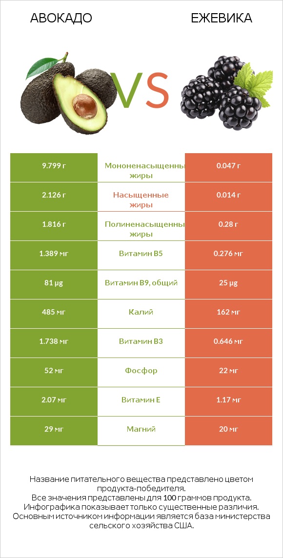 Авокадо vs Ежевика infographic